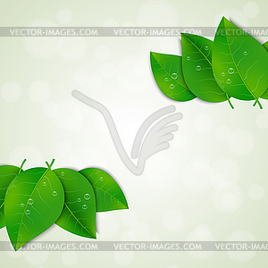 Green leaves background - vector clip art