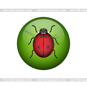 Background with ladybugs - vector clipart