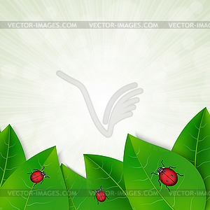 Green leaves background - color vector clipart