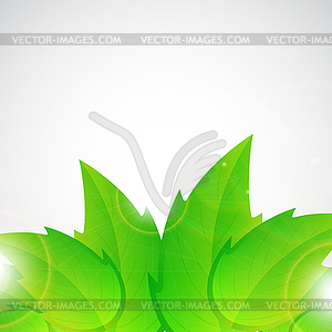 Leaves background - vector image