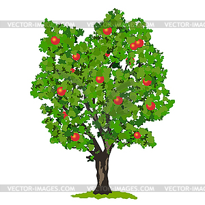 Apple tree - vector clip art