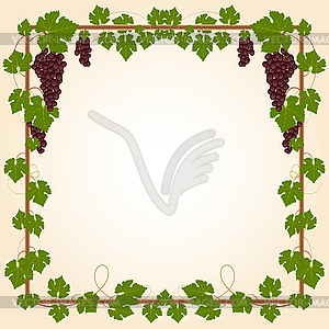 Grape square frame - vector image