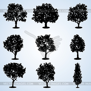 Trees silhouettes - vector image