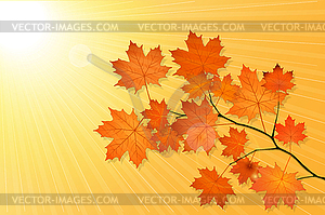 Autumn scenery with maple tree - vector image