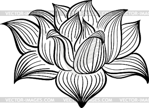 Black and White Lotus flower - vector clip art