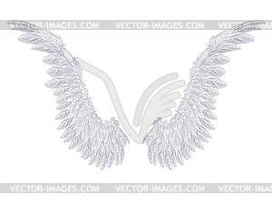 White Wings - vector clipart