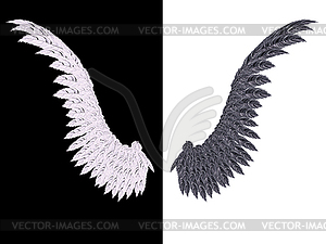 White and Black Wing - vector clip art