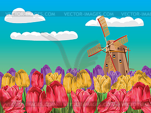 Мельница и тюльпаны - векторный клипарт / векторное изображение