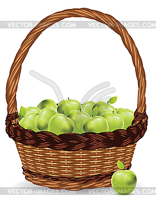 Basket of Green Apples - vector clipart