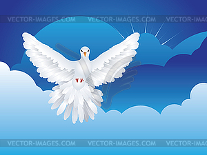 Dove in Sky - vector clip art