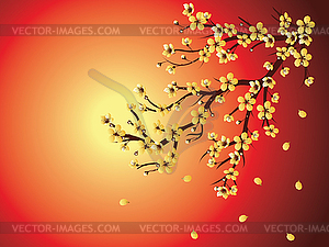 Decorative Sakura Background - vector image