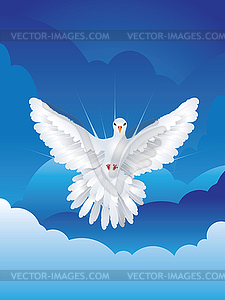 Dove in Sky - vector image