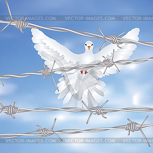 Dove and Barbed Wire - vector clip art