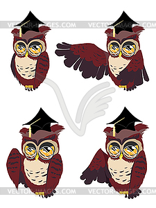 Brown Wise Owl - vector image