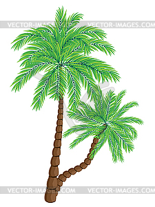 Two Palm Trees - vector image