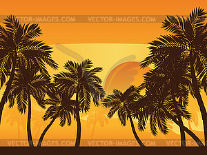 Palm Tree at Sunset - vector clipart