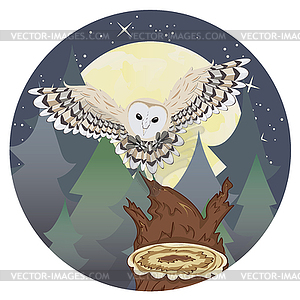 Barn Owl on Tree Stump - vector image