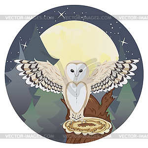 Barn Owl on Tree Stump - vector image