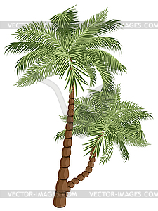 Two Palm Trees - royalty-free vector image