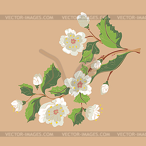 White Blossom Ornament - vector clipart