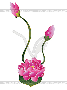 Purple Lotus Flower - vector clipart