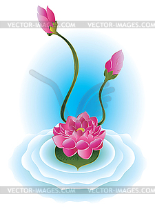 Purple Lotus Flower - vector clip art