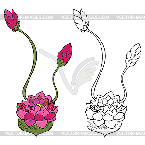 Purple Lotus Flower - vector clipart