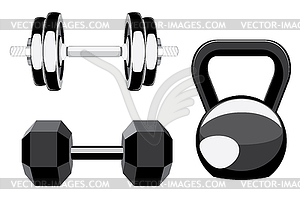 Dumbbells and kettlebell - vector clipart
