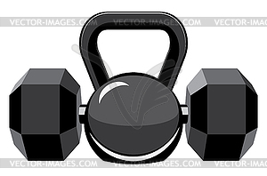 Dumbbells and kettlebell - vector image