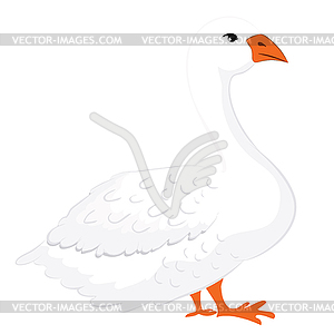 Domestic white goose - vector clip art