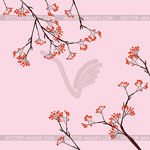 Branches of rowan - vector clipart