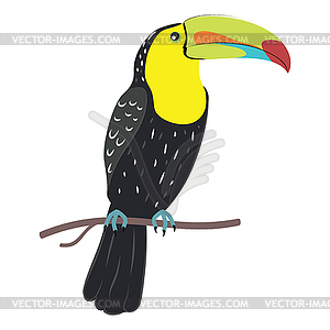 Keel billed toucan - vector image