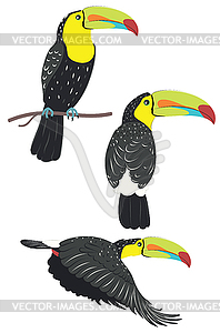 Keel billed toucan - vector clipart