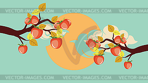 Persimmon fruits on branch and moon - vector image