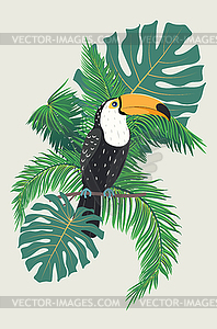 Toucan with tropical leaves - vector image