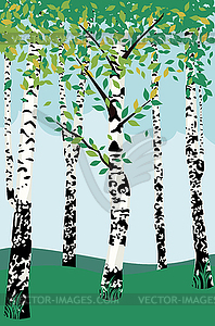 Summer birch trees - vector clipart