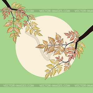 Branch with autumn leaves - vector clipart