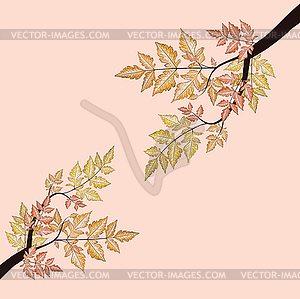 Branch with autumn leaves - vector image