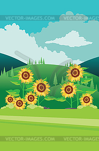 Landscape with sunflowers - vector clipart / vector image