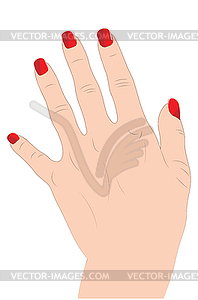 Caucasian hand with red nails - vector clip art