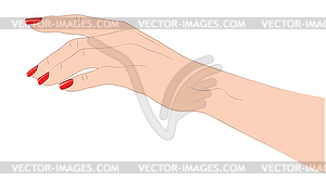 Caucasian hand with red nails - vector clipart / vector image