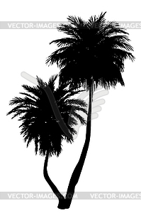 Two palm trees silhouettes - vector clip art