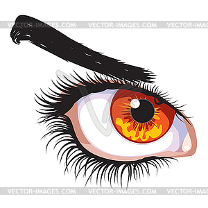 Light brown female eye - vector clipart