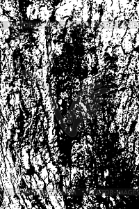 Pine tree bark texture - vector clipart