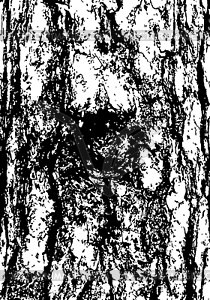 Pine tree bark texture - vector clip art