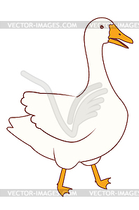 Domestic white goose - vector clip art