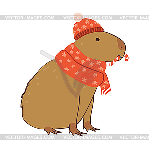 Капибара в зимнем шарфе - векторный клипарт / векторное изображение