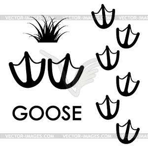 Goose`s paw prints - vector clipart