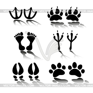 People and pets footsteps - vector image