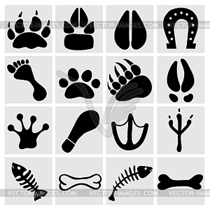 People and pets footsteps - vector image